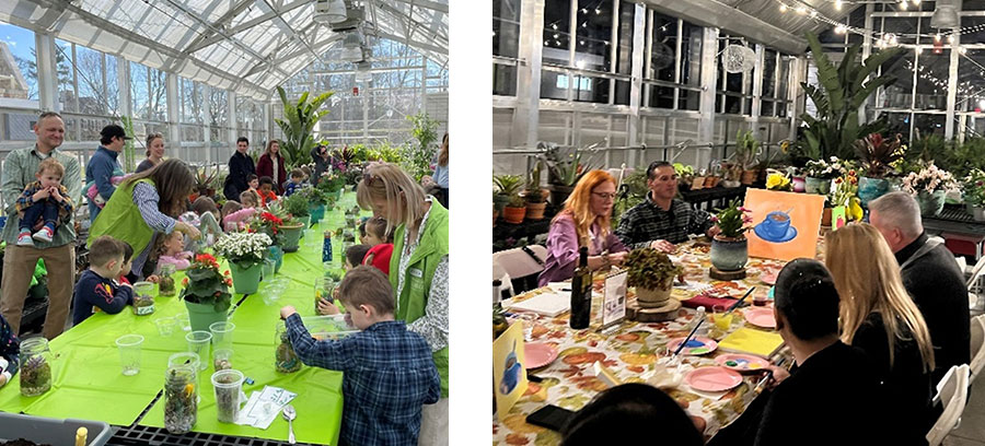 greenhouse photo